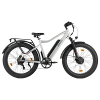Электровелосипед Eltreco BigCat Dual Next PRO Серебристый-матовый